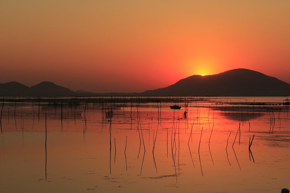 重游东平湖
