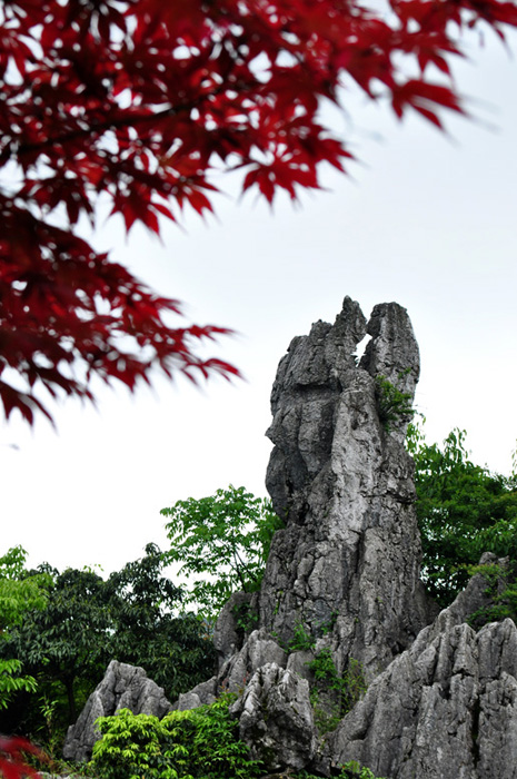广安揽胜