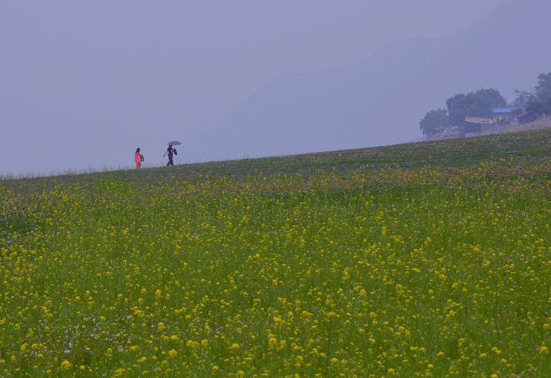 [原创]风光摄影：暮 归