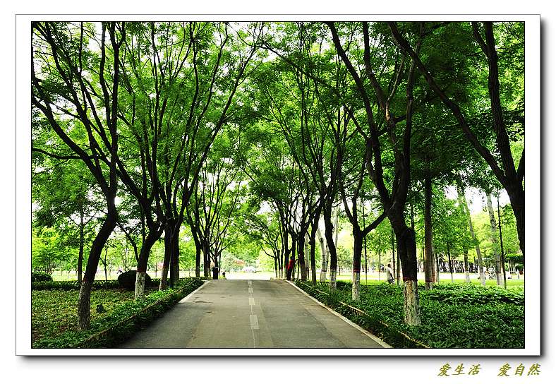 新蕾公园小景
