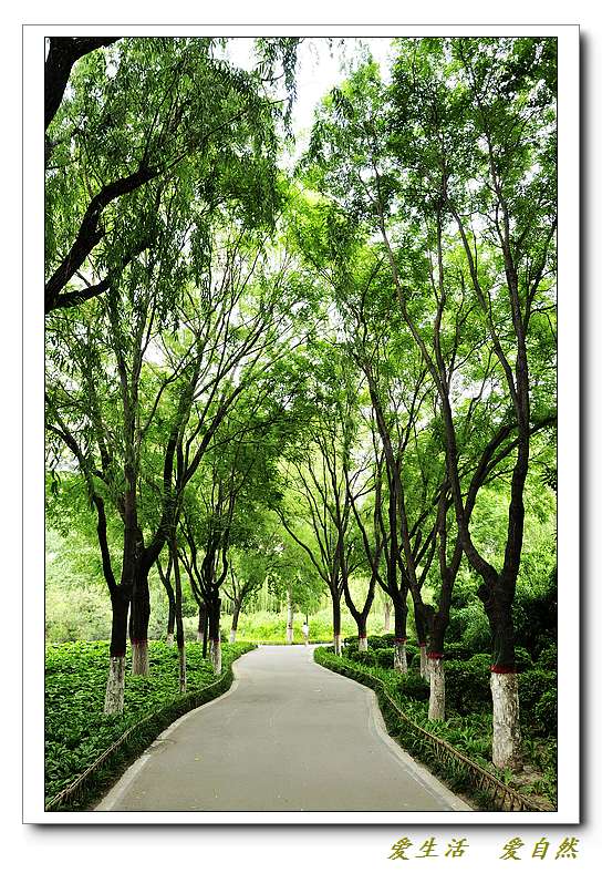 新蕾公园小景