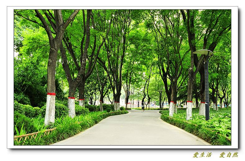 新蕾公园小景