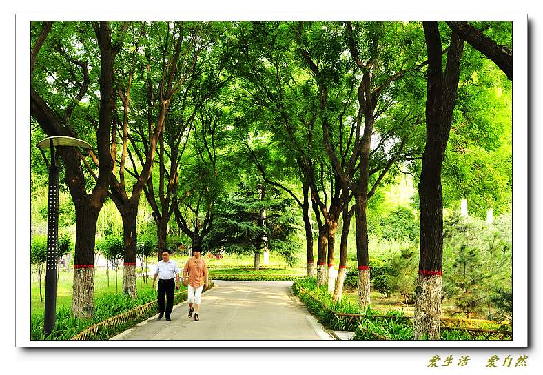 新蕾公园小景