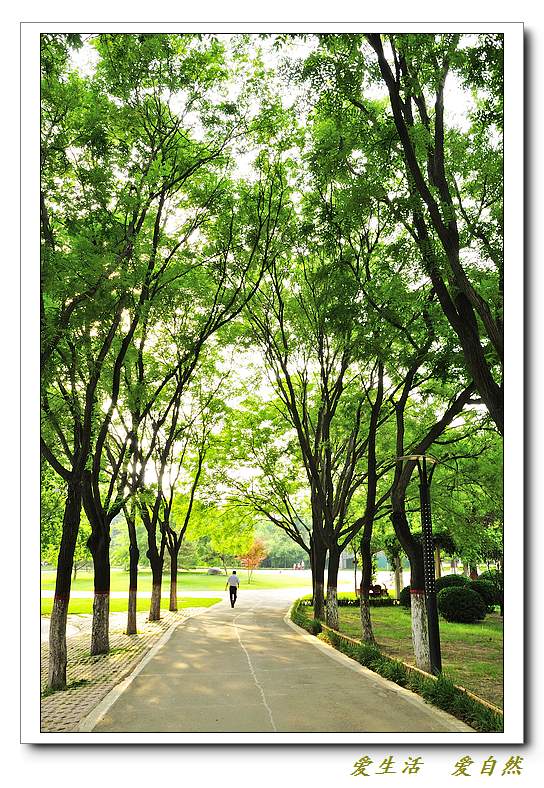 新蕾公园小景