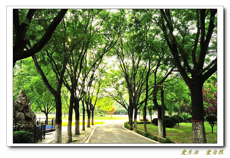 新蕾公园小景