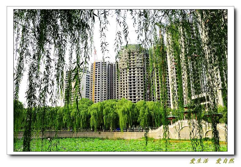 新蕾公园小景