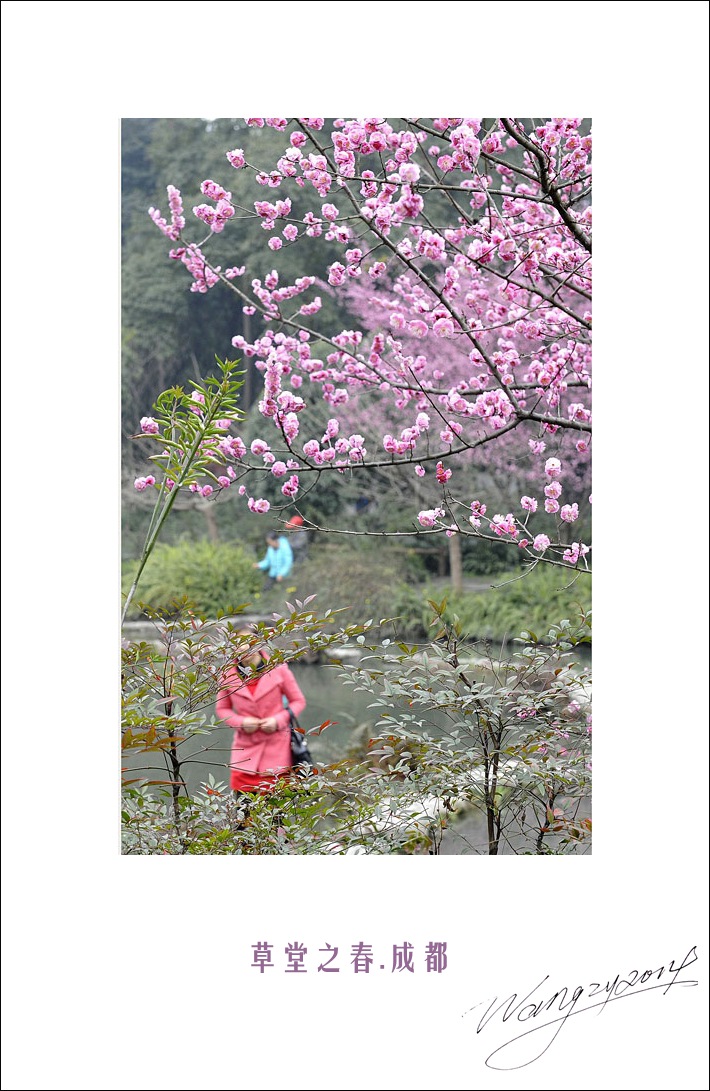 一路风光