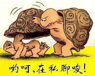 测试