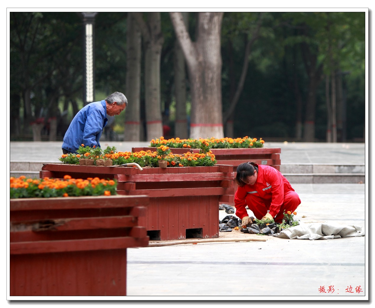 美好园景来至园林工