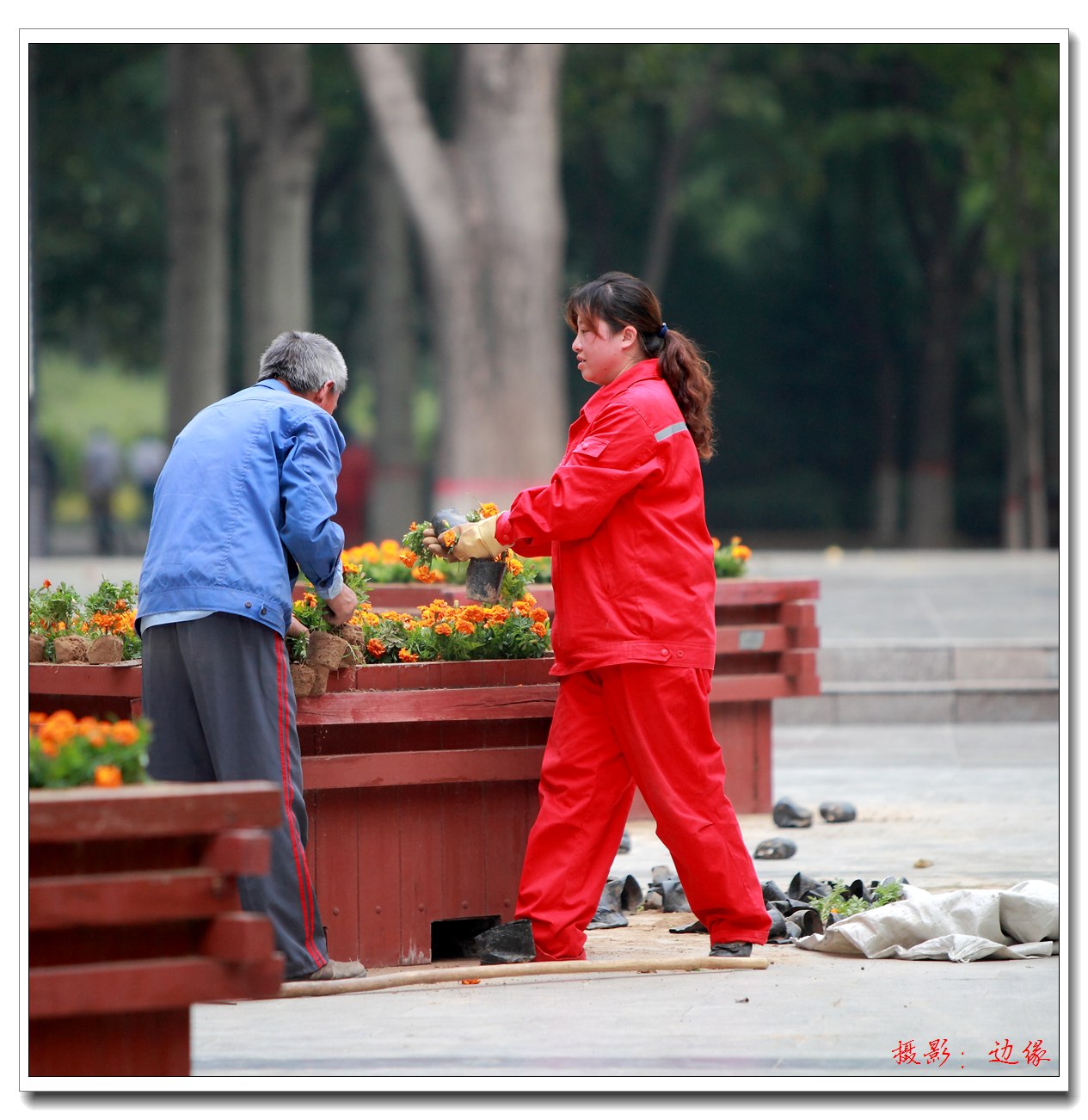 美好园景来至园林工