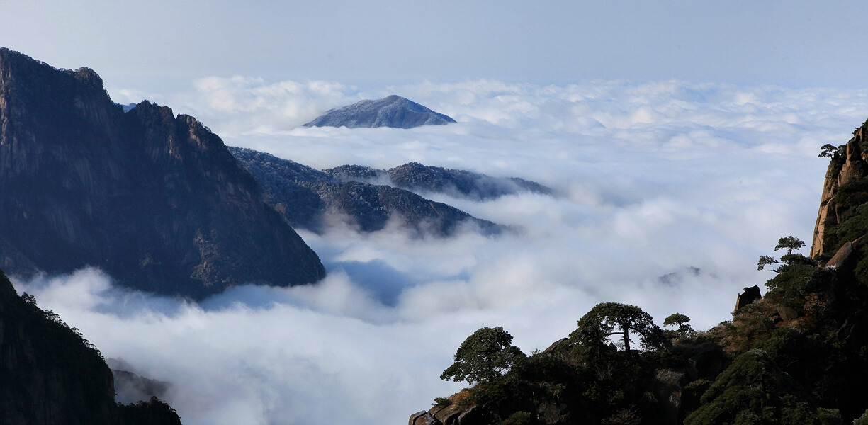 黄山小景