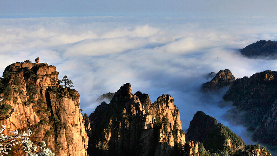黄山小景