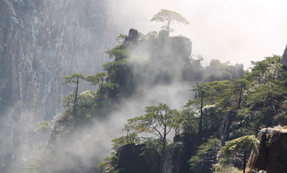 黄山小景