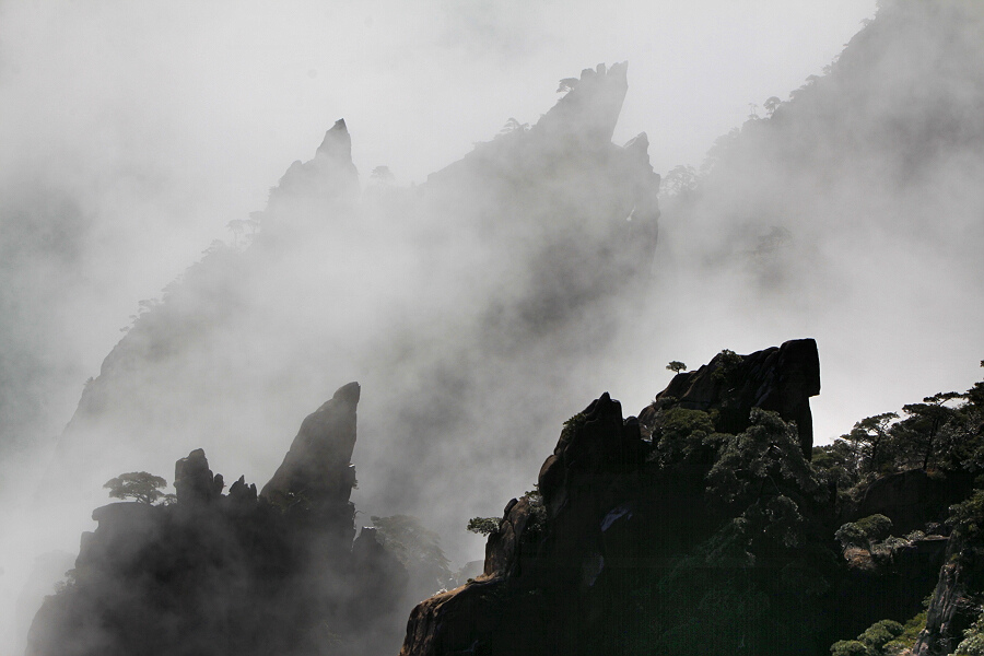 黄山小景