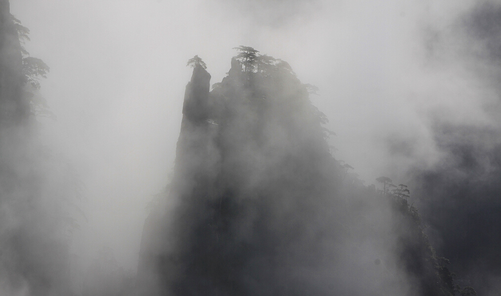 黄山小景
