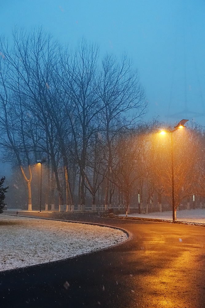 下雪啦 。。。。。