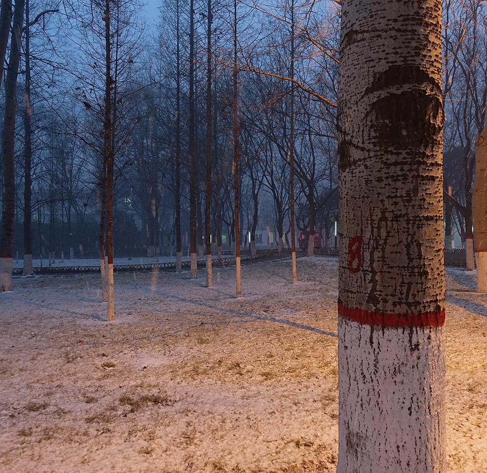 下雪啦 。。。。。
