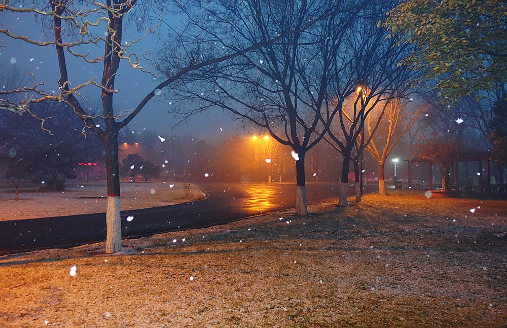 下雪啦 。。。。。