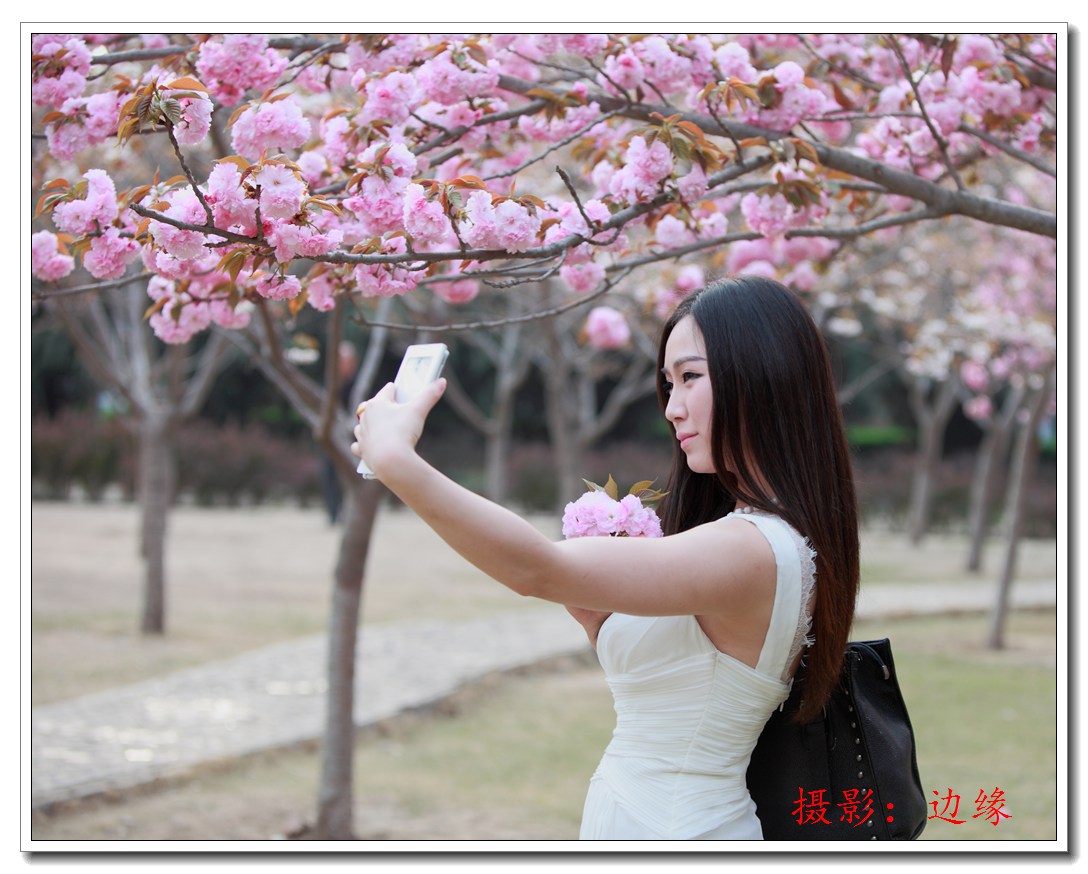 樱花树下的美女自拍