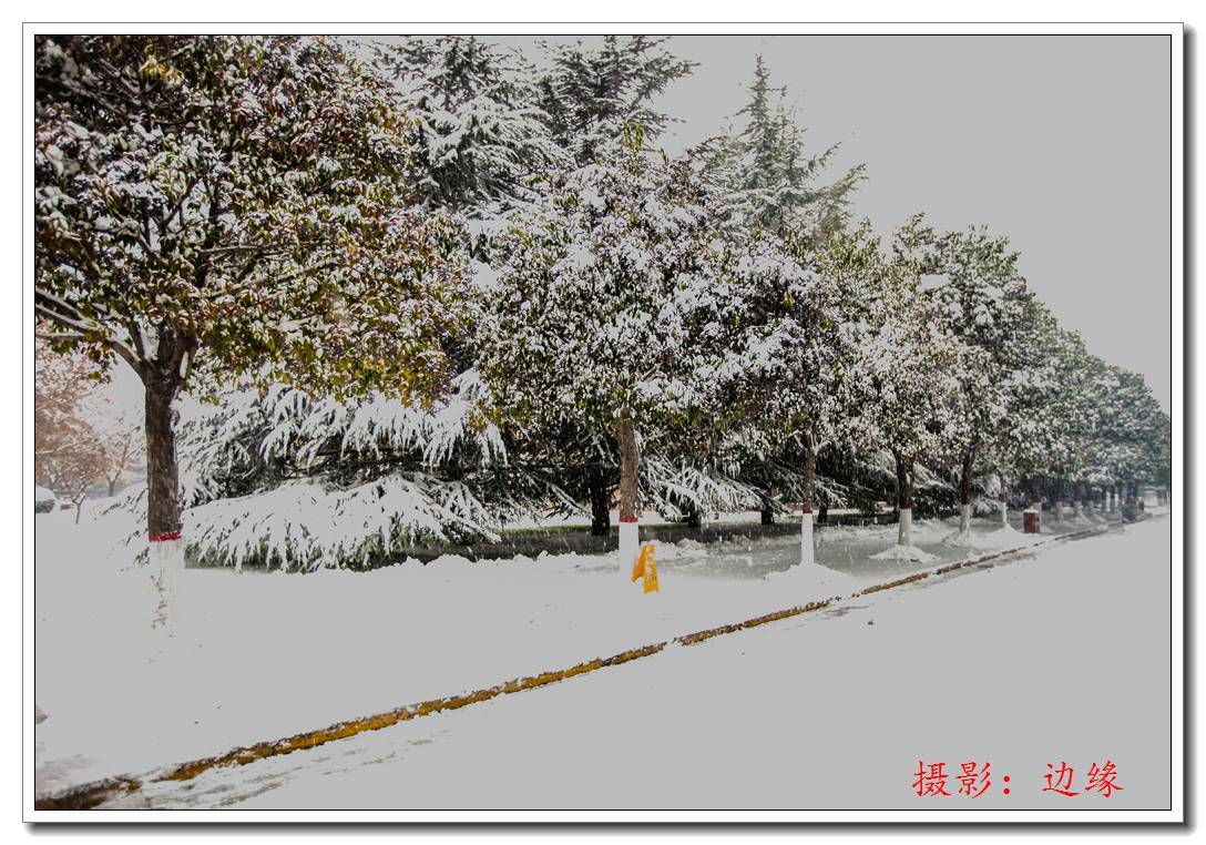 2015中原大地第一场雪