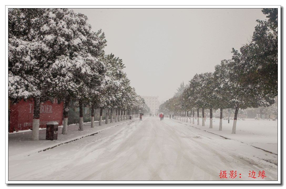 2015中原大地第一场雪