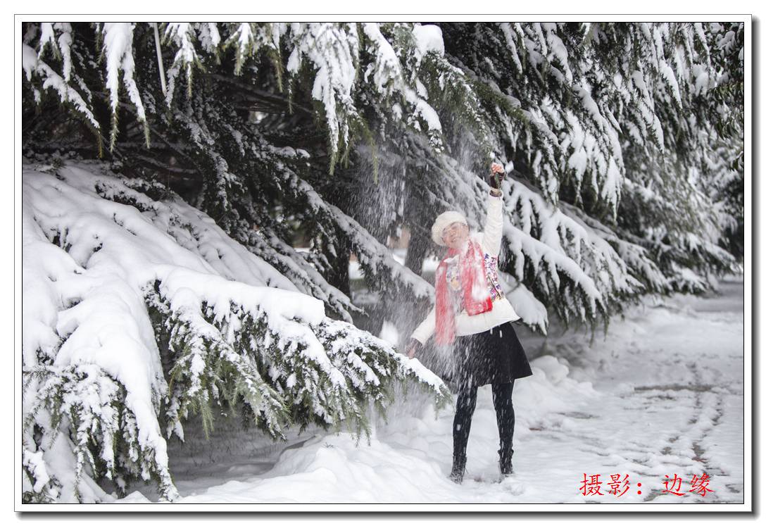 美丽的雪景