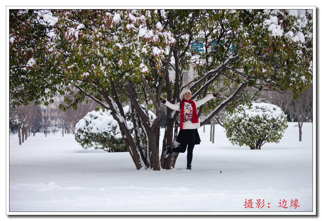 美丽的雪景