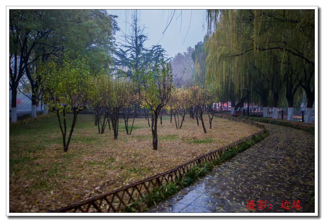 秋的精彩还没有来得及欣赏啦，就被一场大雪给下的粉碎了。看不到秋的美丽，展现的却是冬的气息……