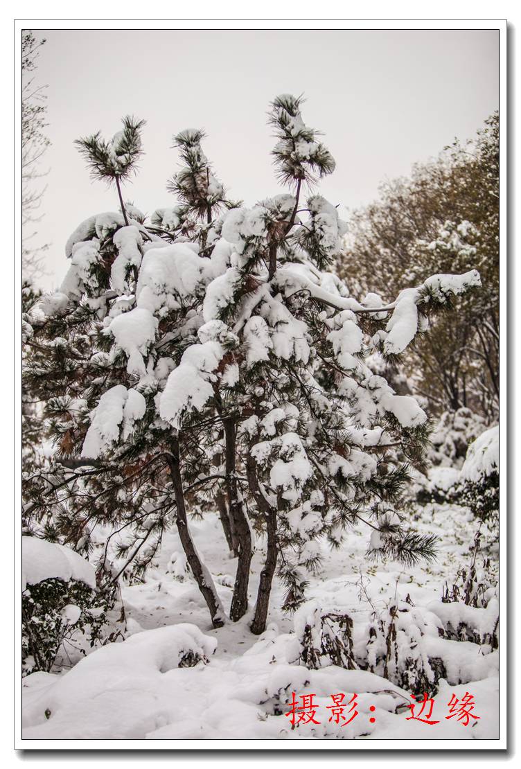 雪的美丽、雪的诱惑