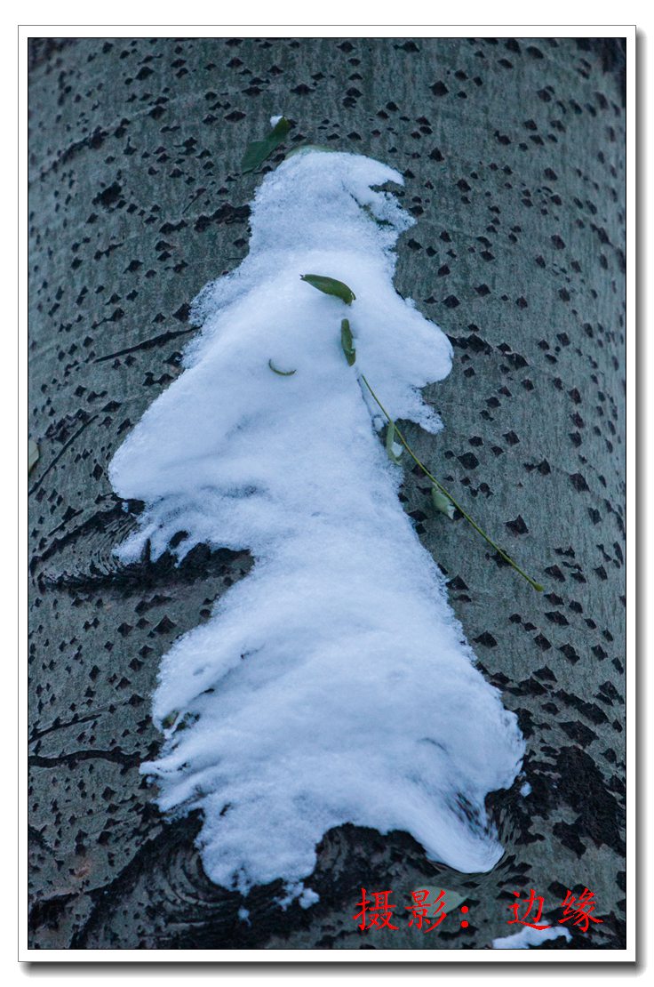 雪的美丽、雪的诱惑