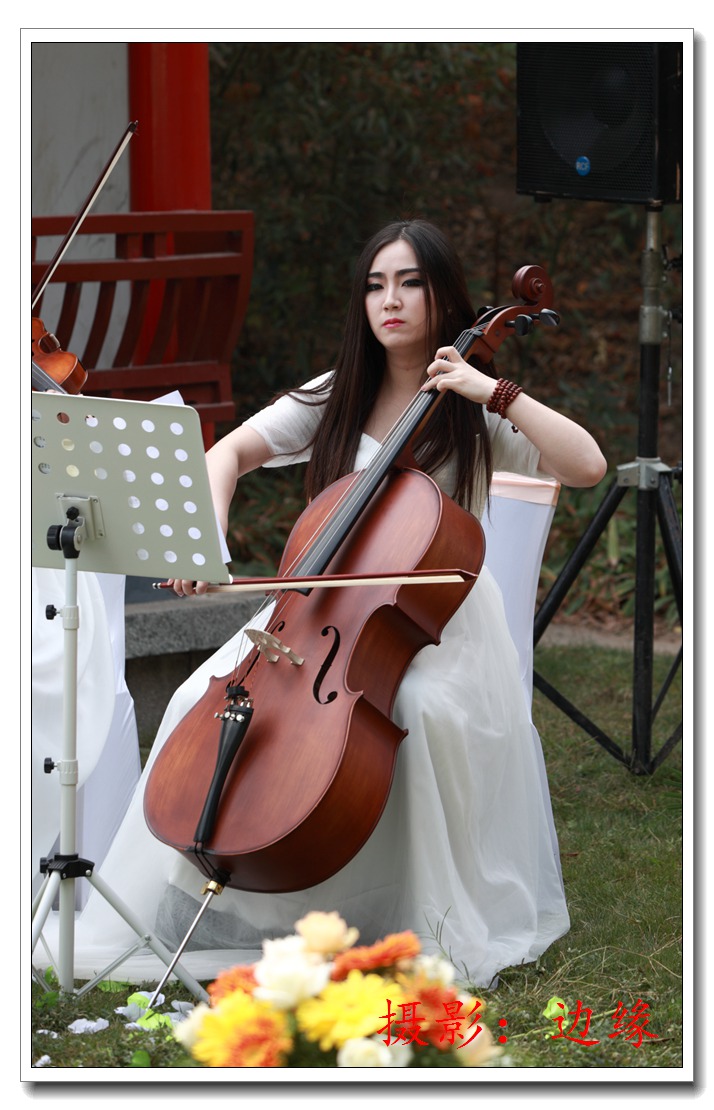 激情/美妙/小提琴