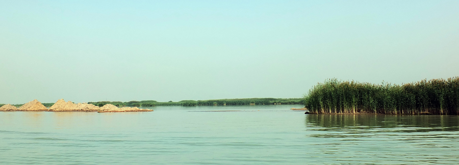 魅力沙湖