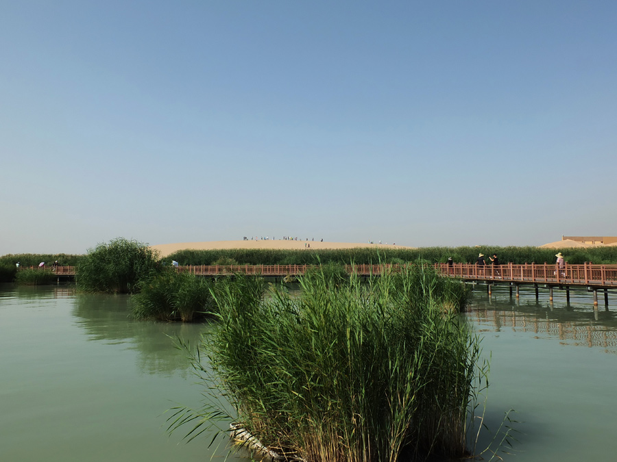魅力沙湖