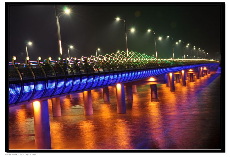 美丽的龙湖夜景