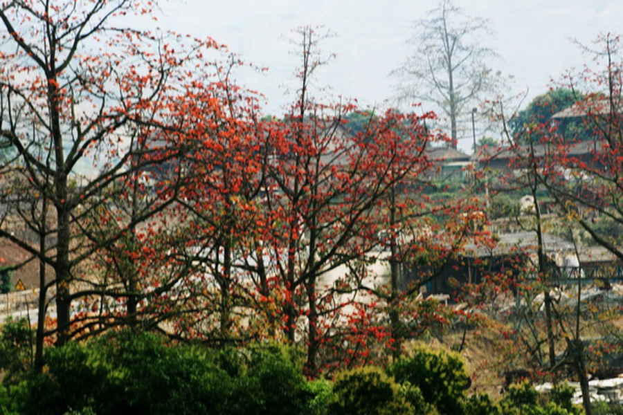 红河岸边