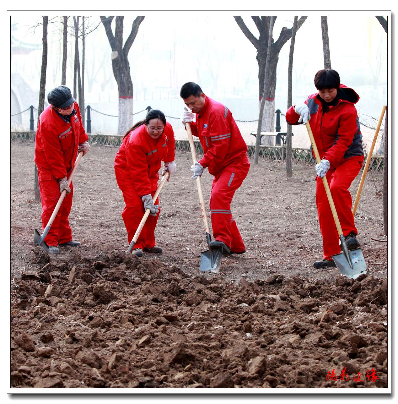 2015油田公共事业处植树节