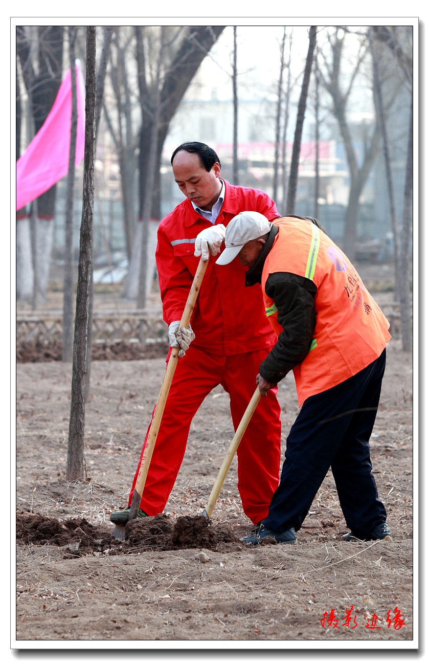 2015油田公共事业处植树节