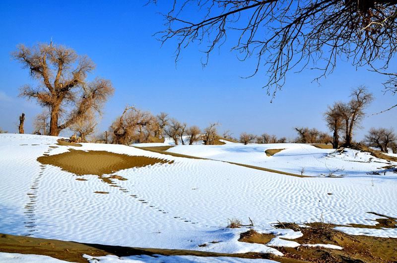 沙漠雪景