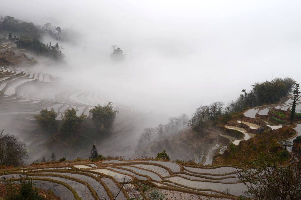 烟雨江南