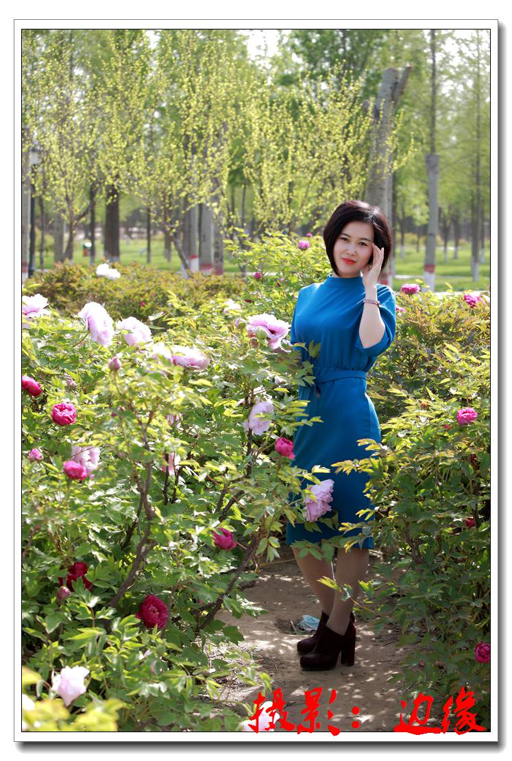 牡丹花园拍美妹