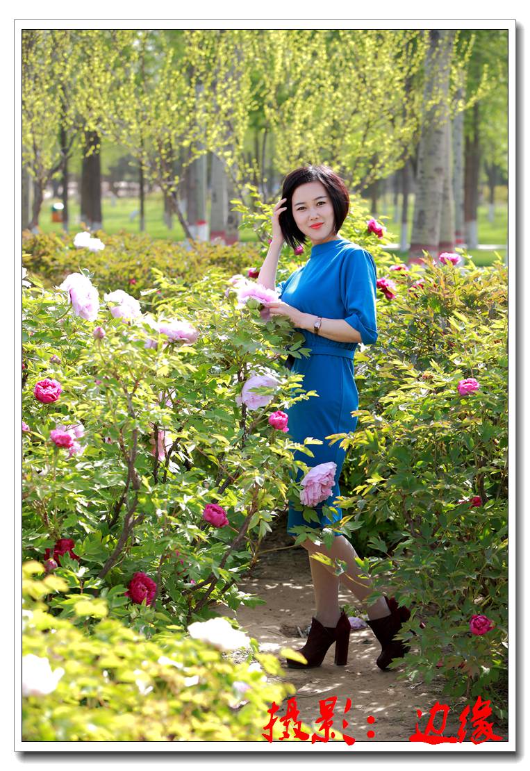 牡丹花园拍美妹