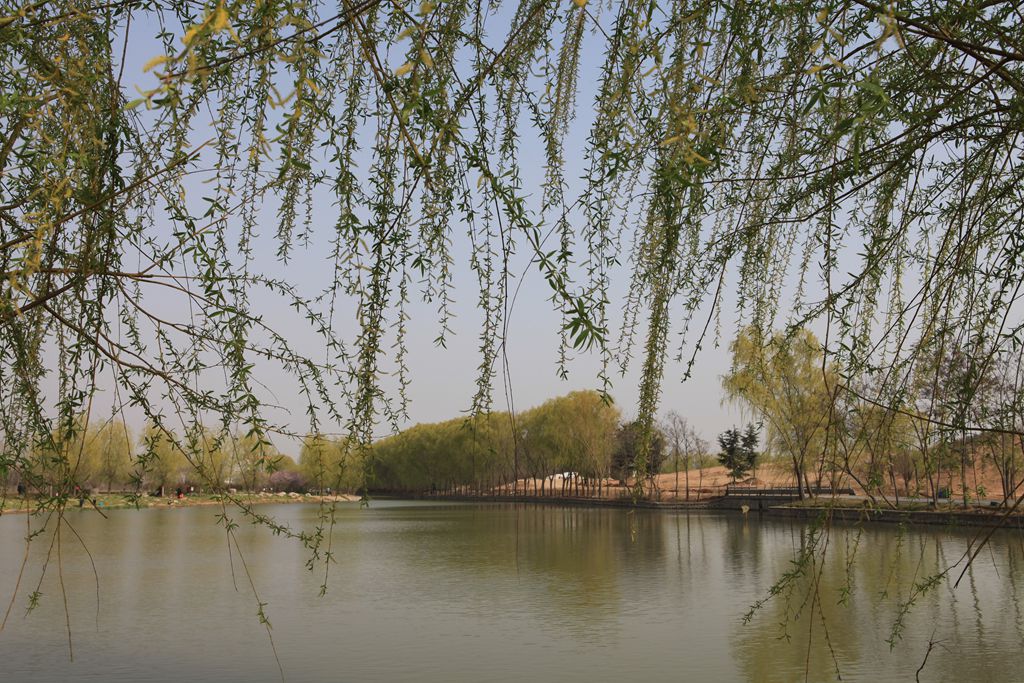 春到濮上园