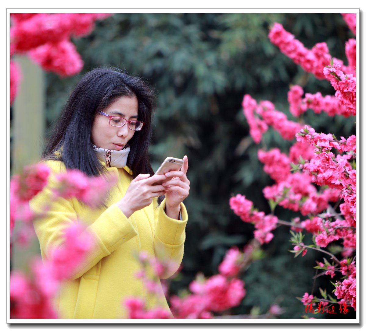 桃花映美女