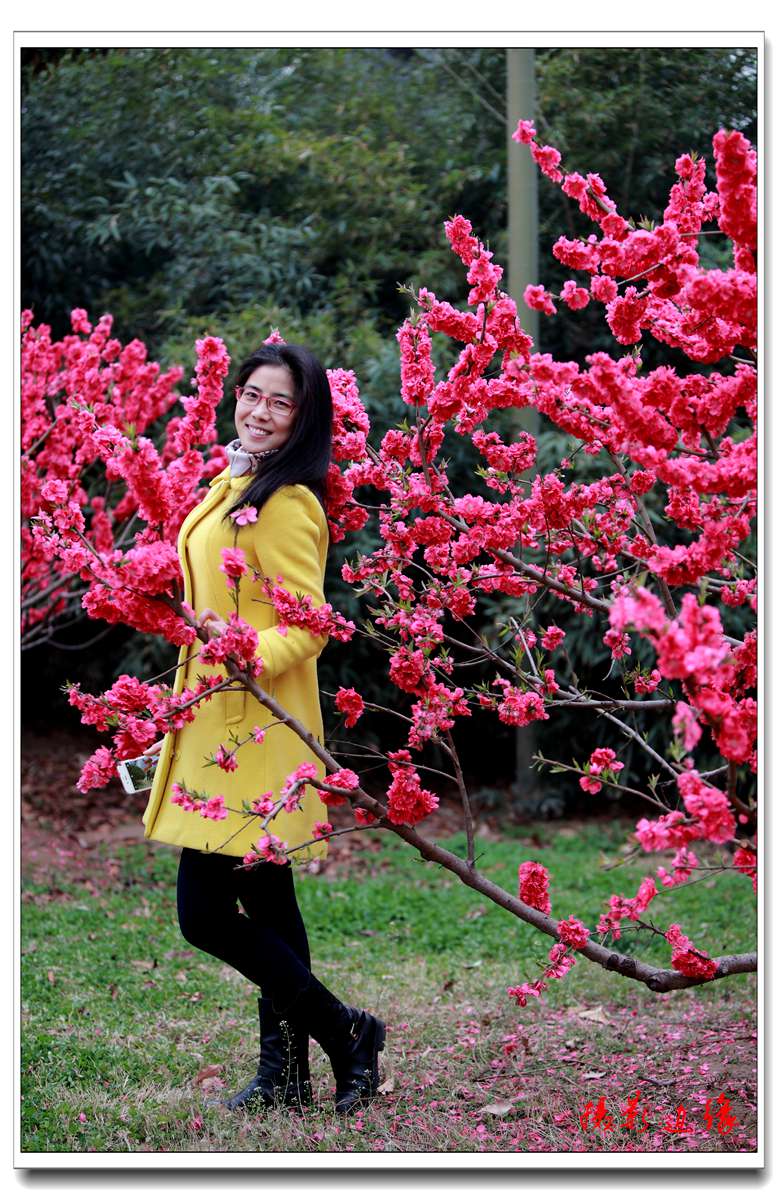 桃花映美女