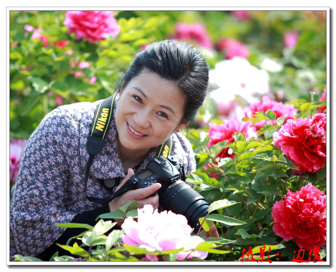 她在丛中笑