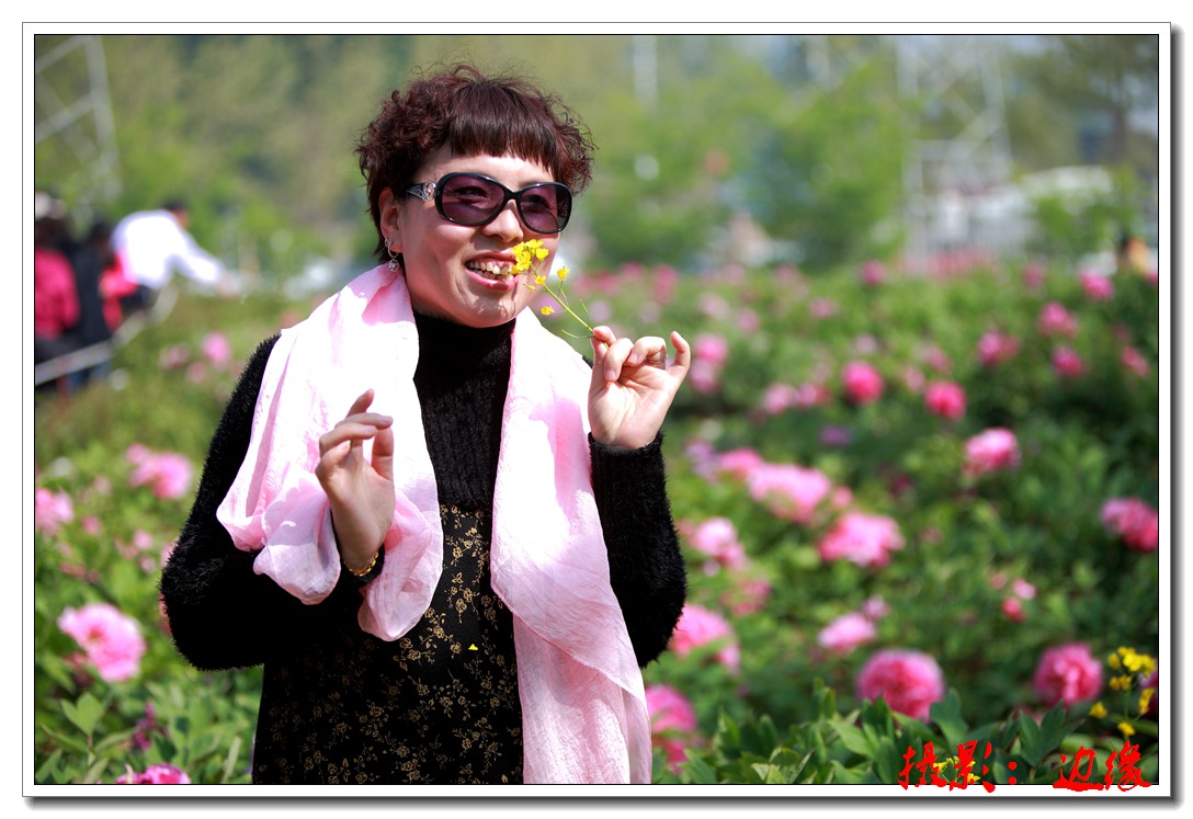 她在丛中笑