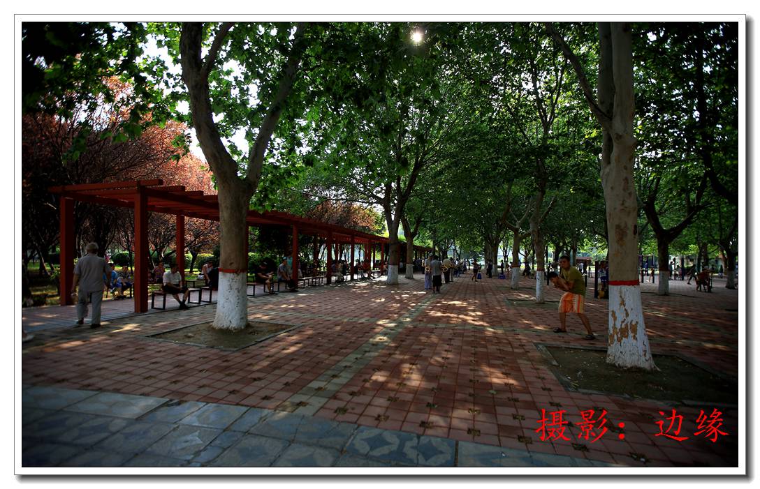 大美新蕾公园