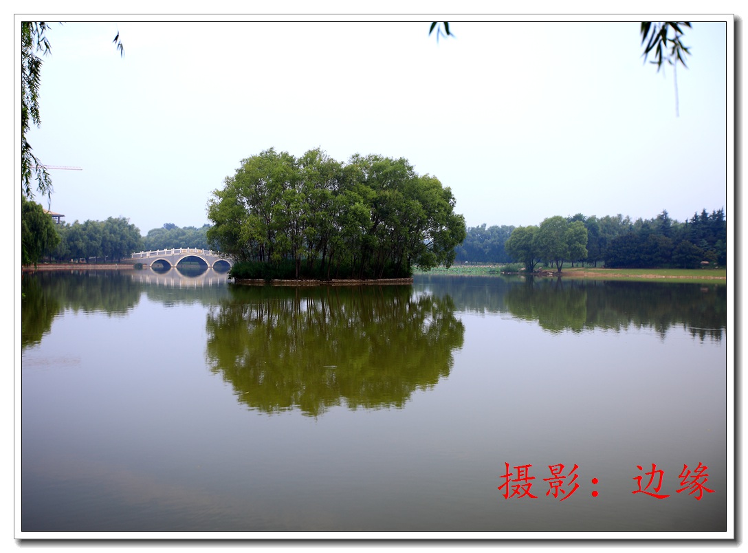 濮上园的早晨