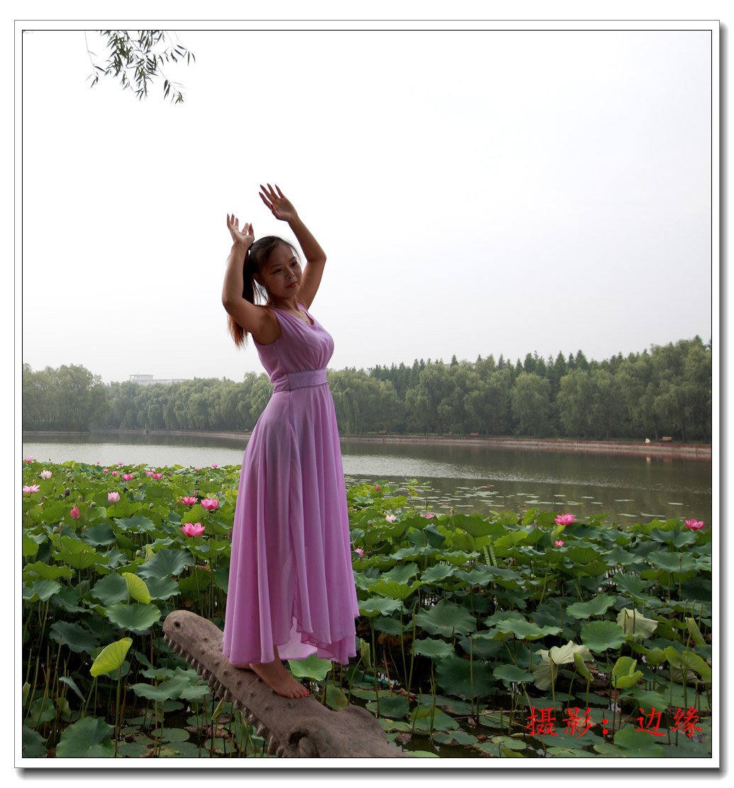 荷池、美女还有假鳄鱼