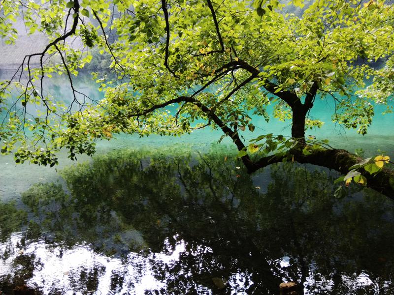 扫街闲拍